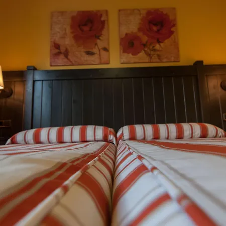 Hotel Hotel Viella